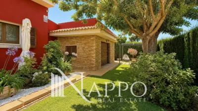 Chalet in Palmanyola photo 43