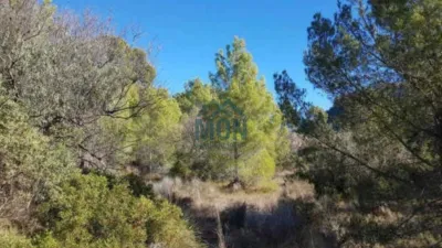 Terreno en venta en Casco Urbano - Más