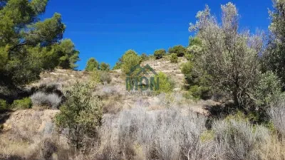 Terreno en venta en Casco Urbano - Vista 4