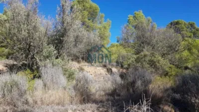 Terreno en venta en Casco Urbano - Vista 3