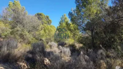 Terreno en venta en Casco Urbano - Vista 5