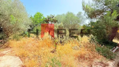 Chalet in Can Rossell photo 11