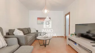 Apartment on Carrer del Puig Rom, 98 photo 8