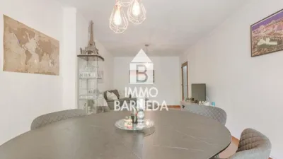 Apartment on Carrer del Puig Rom, 98 photo 10