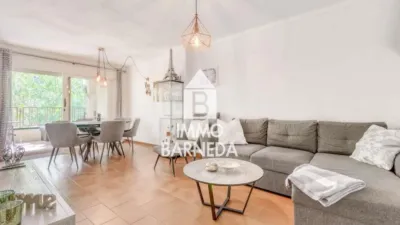 Apartment on Carrer del Puig Rom, 98 photo 5