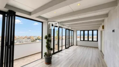Penthouse on Maria Aurelia Campany Street photo 7