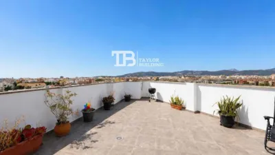 Penthouse on Maria Aurelia Campany Street photo 2