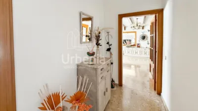 Apartment in Calella photo 3
