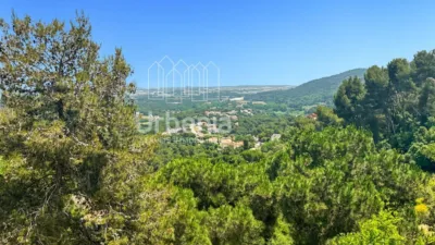 House in Sant Genís photo 44