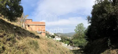 House in Mas Coll photo 4