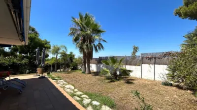 House in Bellamar-Mas de la Mel photo 7