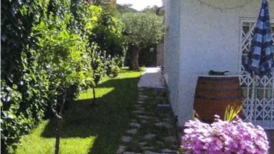 House in Bellamar-Mas de la Mel photo 4