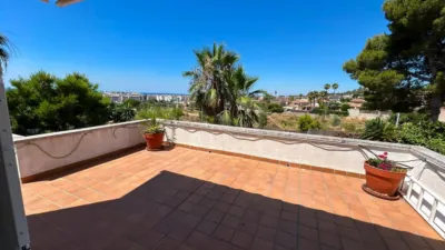 House in Bellamar-Mas de la Mel photo 45