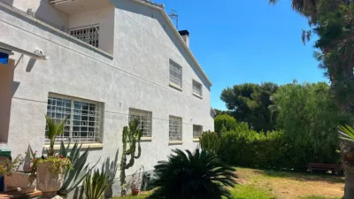 House in Bellamar-Mas de la Mel photo 10