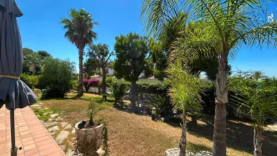 House in Bellamar-Mas de la Mel photo 14