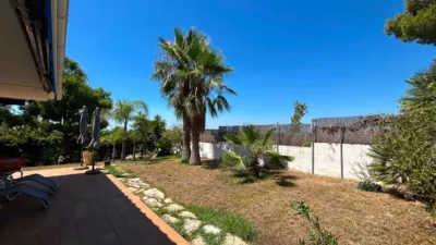 House in Bellamar-Mas de la Mel photo 13