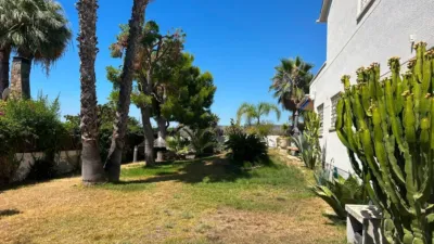 House in Bellamar-Mas de la Mel photo 64