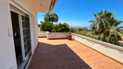 House in Bellamar-Mas de la Mel photo 44