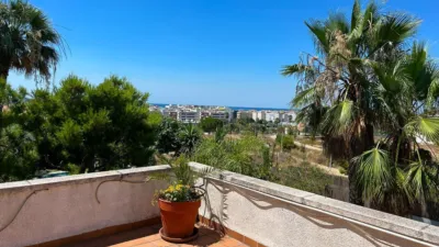 House in Bellamar-Mas de la Mel photo 43
