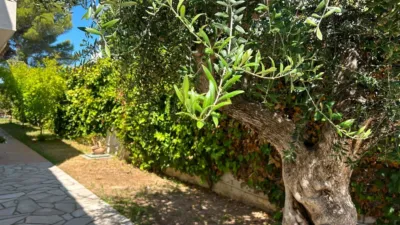 House in Bellamar-Mas de la Mel photo 8