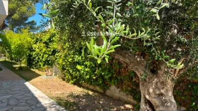 House on Carrer del Terral de Dalt photo 8