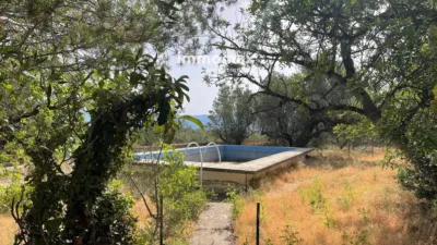 Rustic finca in Aldover photo 9