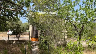 Rustic finca in Aldover photo 23