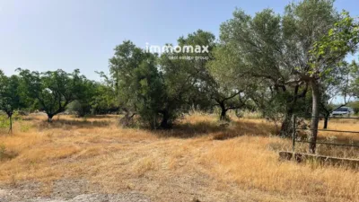 Rustic finca in Aldover photo 26