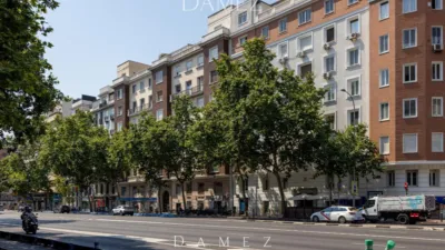 Apartment in the Salamanca District photo 26