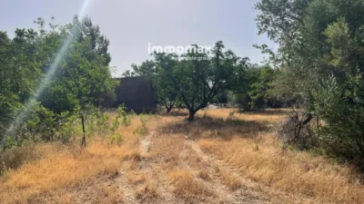 Rustic finca in Aldover photo 20