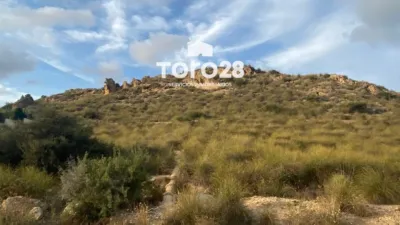 Terreno en venta en Camino los Ramos - Vista 5