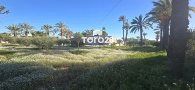 House in Elx - Elche - Vista 4