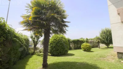 Apartment in Loredo photo 3