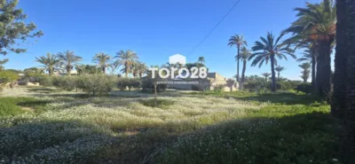 House in Elx - Elche - Vista 2