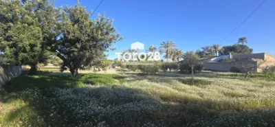 House in Elx - Elche - Vista 3