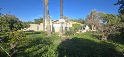 House in Elx - Elche - Vista 5