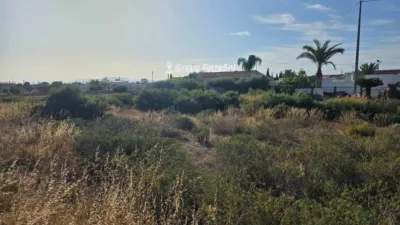 Terreno en venta en Partida Valverde Baix - Vista 3