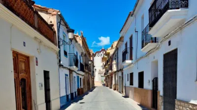 Apartment on Carrer Pou photo 43