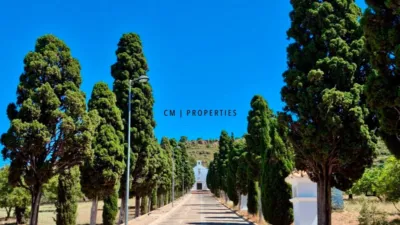 Apartment on Carrer Pou photo 47