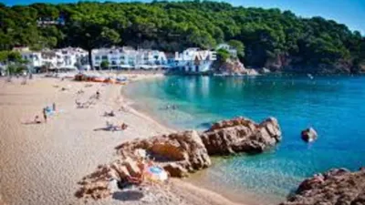 Apartment in Mont-Ferrant-Sant Joan photo 21