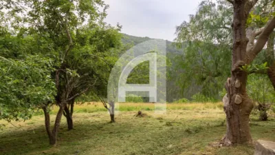 House in Barrio de Soluanes photo 7