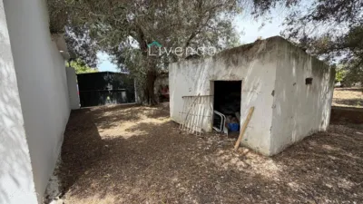 Chalet in Barrio Nuevo photo 27
