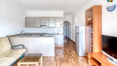 Apartment at Carrer de la Pujada del Puig Rom, 32 photo 14