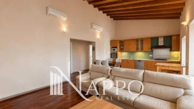 Penthouse in Bons Aires photo 7
