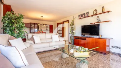 House in Molins de Rei photo 6