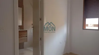 Apartment in Casco Urbano photo 10