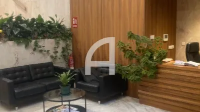 Flat in Moncloa photo 12