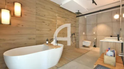 House in Sant Pere de Vilamajor photo 13