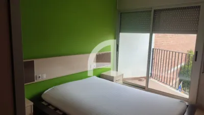Apartment in Sant Antoni de Vilamajor photo 8