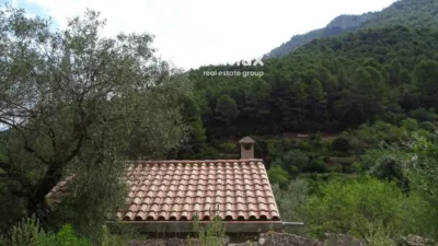 Rustic finca in Paüls photo 32